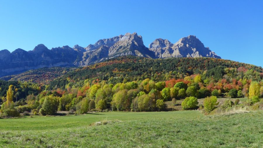 Bosques mixtos que se extiende a las faldas de la Sierra de La Partacua