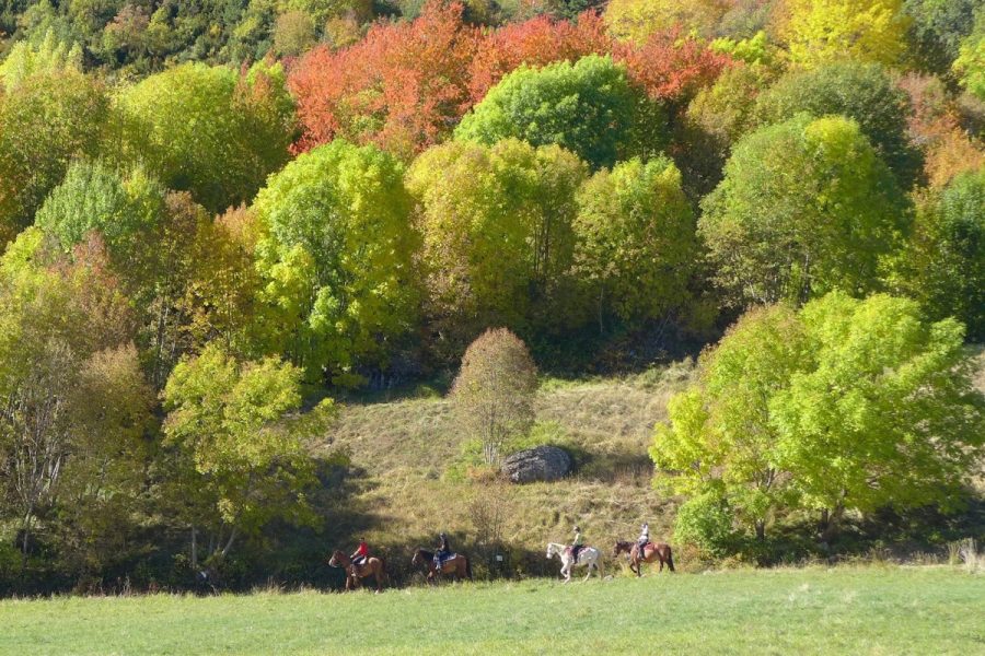 Paseo a caballo