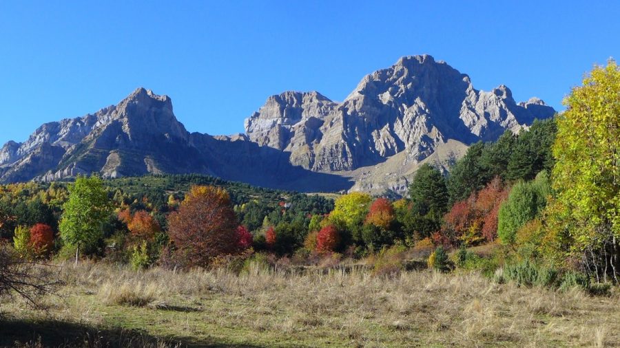 Salida del bosque del Betato con la Sierra de la Partacua al fondo