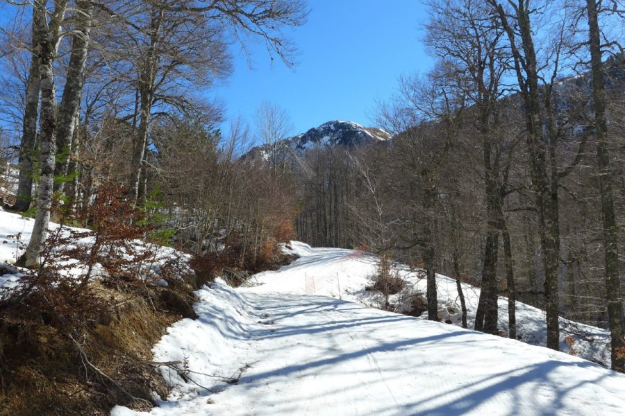 Pista negra de esquí de fondo de Linza