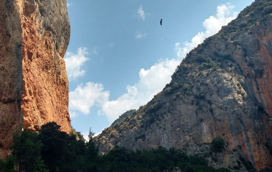 Adentrándonos en el Desfiladero del Salto de Roldan