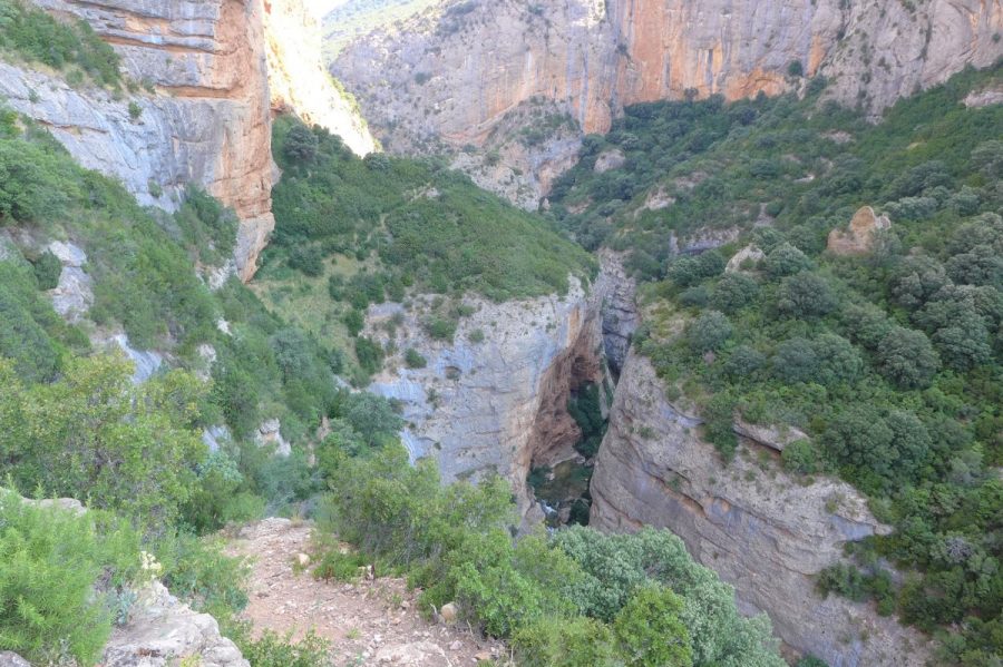 Senda adentrandose en la garganta que forma el río Flumen