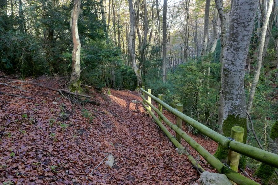 Senda de ascensión al Collado de Sarramiana, equipada con vallas de madera