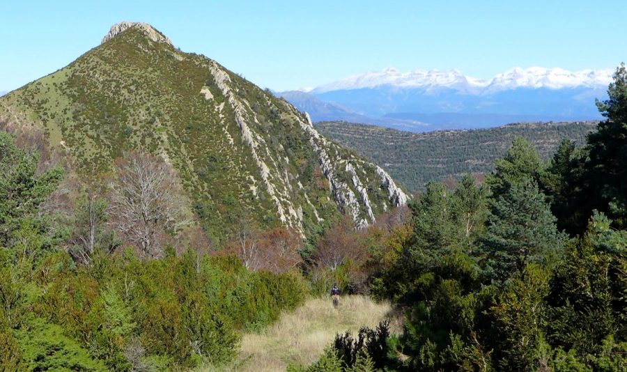 Pico Peiró con el Pirineo de fondo