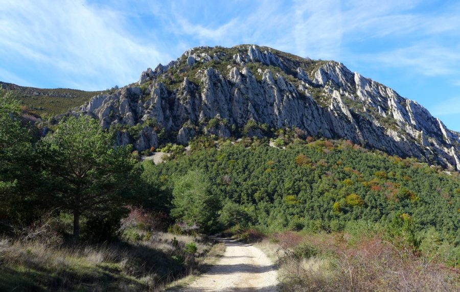 Tramo inicial por pista. Al fondo el pico Peiró con sus característicos escarpes rocosos