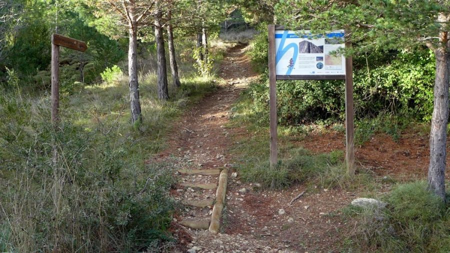 Paneles informativos de la ruta al hayedo y pico Peiró, ubicados en el inicio del sendero.