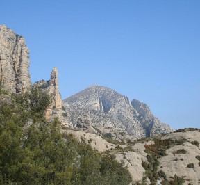 Ascensión Borón