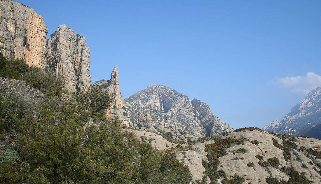 Ascensión Borón