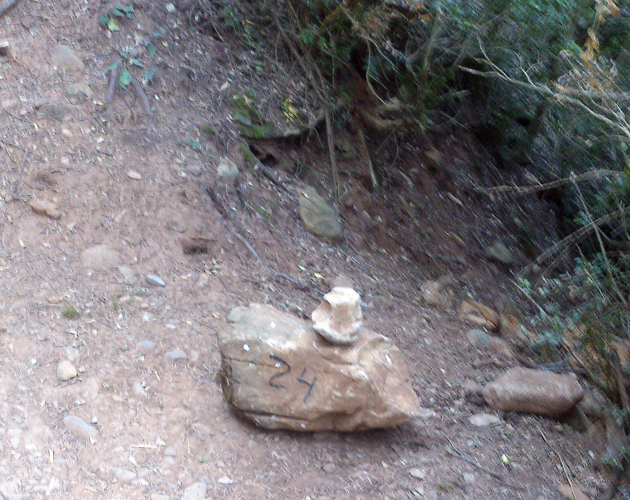 Piedra con indicación en el sendero